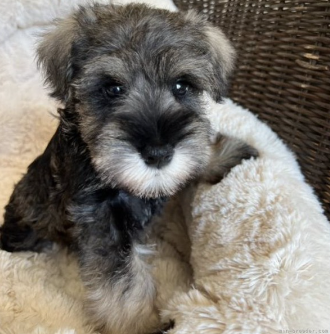 HUGBOXで元気になったパタさんの写真